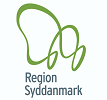 Region Syddanmark